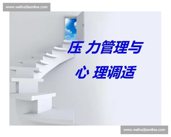 压力管理策略与心理调适方法提升个人应对能力的实践指南